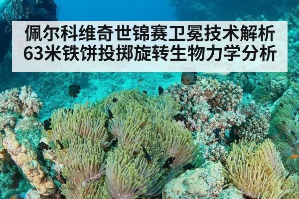 佩尔科维奇世锦赛卫冕技术解析 63米铁饼投掷旋转生物力学分析