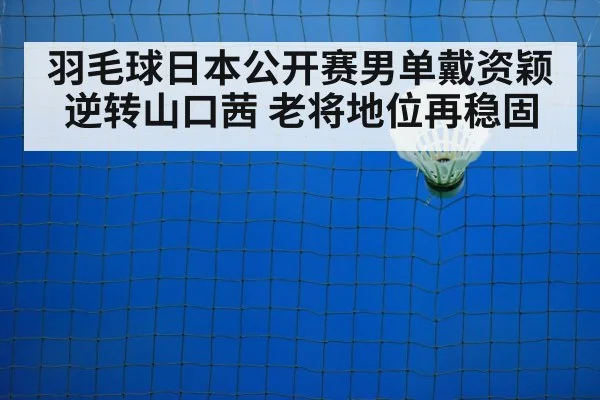badminton net play